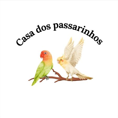Casa Dos Passarinho'S , Lagos Luaran gambar