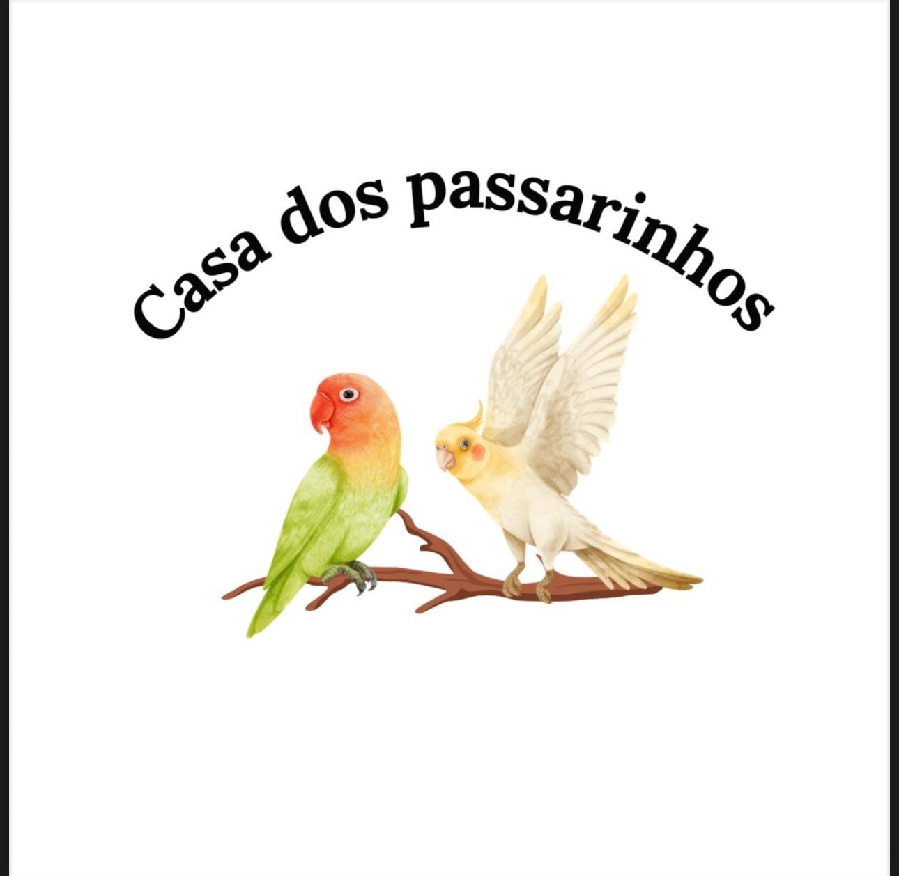 Casa Dos Passarinho'S , Lagos Luaran gambar